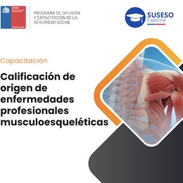Calificación de origen de enfermedades profesionales muscoloesqueléticas
