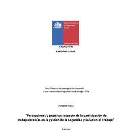 Percepciones y prácticas respecto de la participación de trabajadores/as en la gestión de  la Seguridad y Salud en el Trabajo