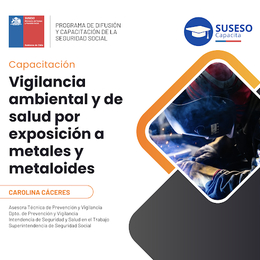 Vigilancia ambiental y de salud por exposición a Metales y Metaloides