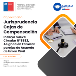 Jurisprudencia de las CCAF, incluye Circular 3882