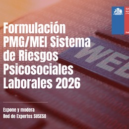Formulación PMG/MEI Sistema de Riesgos Psicosociales Laborales 2026.