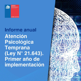 Informe anual Atención Psicológica Temprana, (Ley N° 21.643). Primer año de implementación.