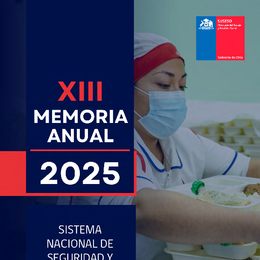 XIII Memoria anual sistema nacional de seguridad y salud laboral del año 2025