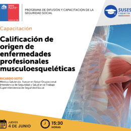 Calificación de origen de enfermedades profesionales musculoesqueléticas