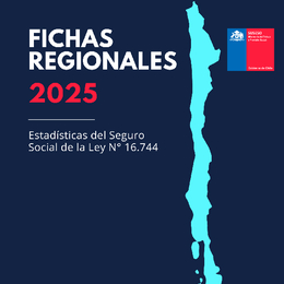 Fichas Regionales 2025. Estadísticas del Seguro Social de la ley N°16.744.