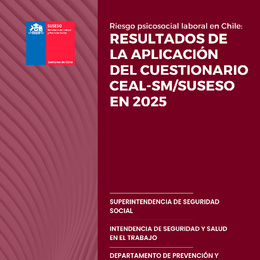 Documento 27: Riesgo Psicosocial Laboral en Chile. Resultados de la aplicación 2025 del CEAL-SM/SUSESO