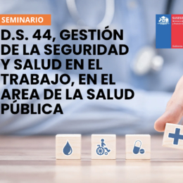Seminario DS 44 y Servicios de salud