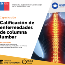 Calificación de enfermedades de columna lumbar.