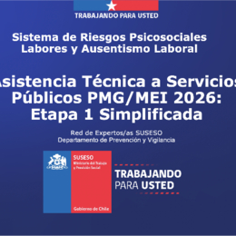 Asistencia técnica a servicios públicos PMG MEI 2026