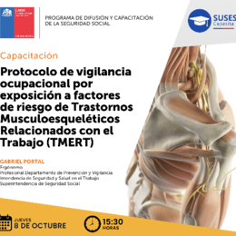 Protocolo de vigilancia y prevención de Trastornos Musculoesqueléticos Relacionados al Trabajo (TMERT)