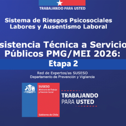 Asistencia técnica a servicios públicos PMG MEI 2026 Etapa 2